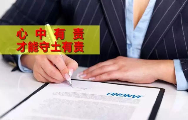 �����������Ż���������